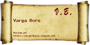 Varga Bors névjegykártya